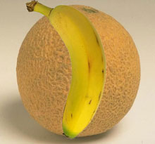  ���������, ���� � ���� 