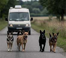  ������� ���� ���� ����� 