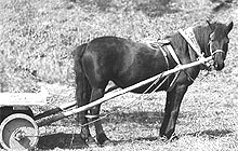  ������ ������ ���� ������� ������ 